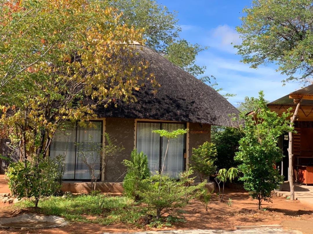 Jungle Breeze Home Stay Kasane Exteriér fotografie